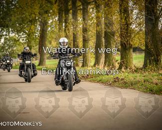 Herfstrit Moerzeke photo