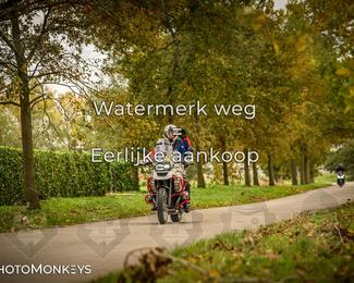 Herfstrit Moerzeke photo