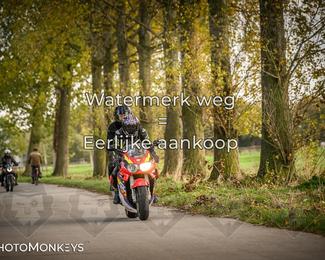 Herfstrit Moerzeke photo