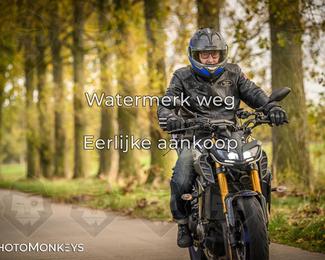 Herfstrit Moerzeke photo