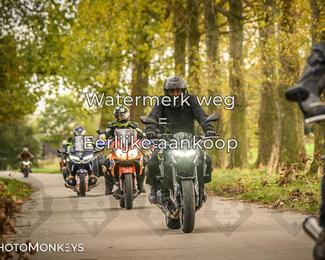 Herfstrit Moerzeke photo