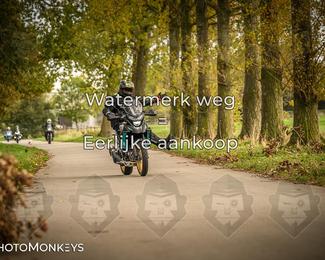 Herfstrit Moerzeke photo