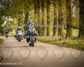 Herfstrit Moerzeke photo