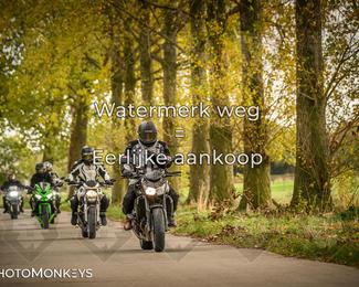 Herfstrit Moerzeke photo