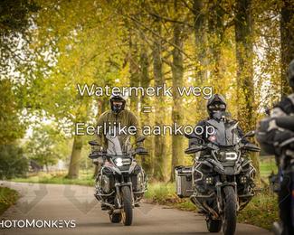 Herfstrit Moerzeke photo