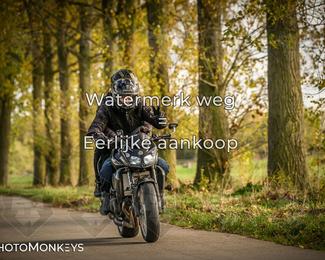 Herfstrit Moerzeke photo