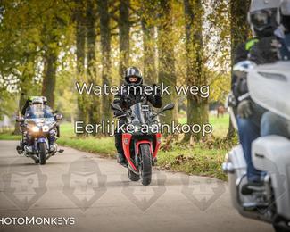 Herfstrit Moerzeke photo