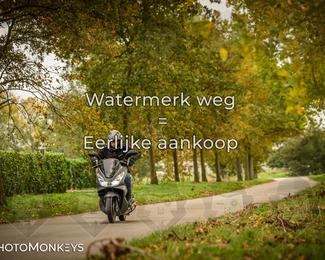 Herfstrit Moerzeke photo