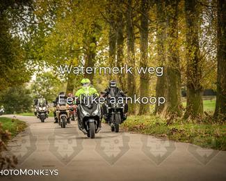 Herfstrit Moerzeke photo