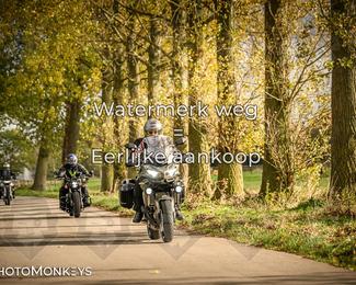 Herfstrit Moerzeke photo