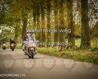 Herfstrit Moerzeke photo