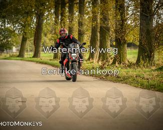 Herfstrit Moerzeke photo