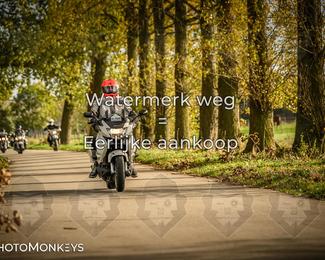 Herfstrit Moerzeke photo