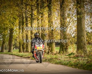 Herfstrit Moerzeke photo