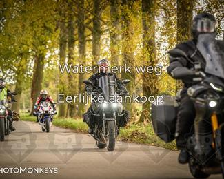 Herfstrit Moerzeke photo