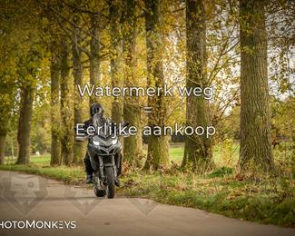 Herfstrit Moerzeke photo