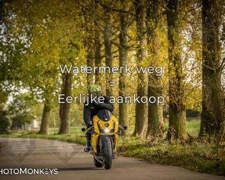 Herfstrit Moerzeke photo