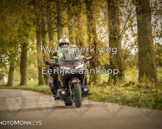 Herfstrit Moerzeke photo