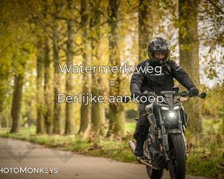 Herfstrit Moerzeke photo