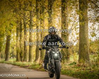 Herfstrit Moerzeke photo