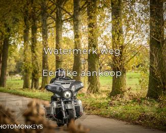 Herfstrit Moerzeke photo