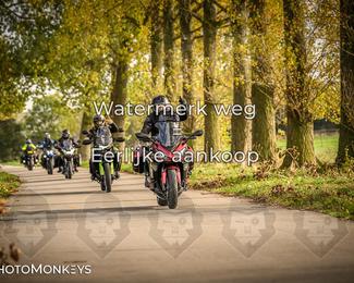 Herfstrit Moerzeke photo