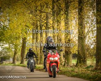 Herfstrit Moerzeke photo