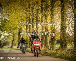 Herfstrit Moerzeke photo