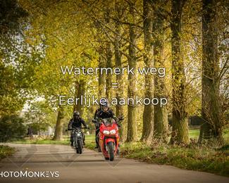 Herfstrit Moerzeke photo