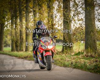 Herfstrit Moerzeke photo