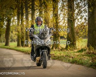 Herfstrit Moerzeke photo