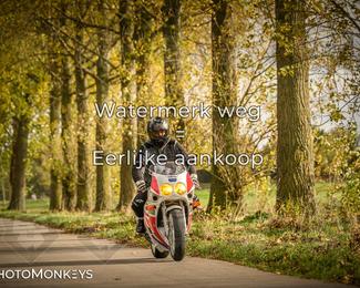 Herfstrit Moerzeke photo