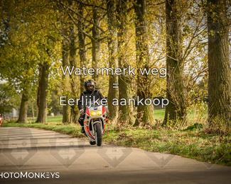 Herfstrit Moerzeke photo