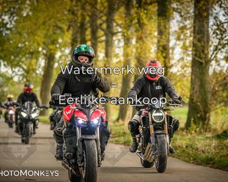 Herfstrit Moerzeke photo