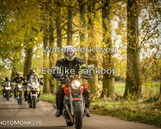 Herfstrit Moerzeke photo