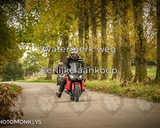 Herfstrit Moerzeke photo