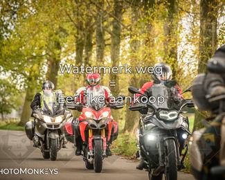 Herfstrit Moerzeke photo