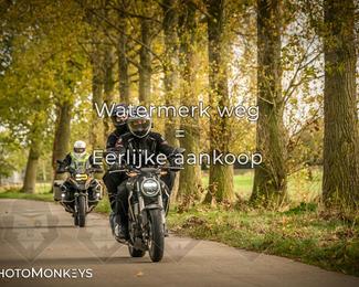 Herfstrit Moerzeke photo