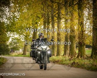 Herfstrit Moerzeke photo