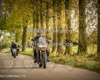 Herfstrit Moerzeke photo