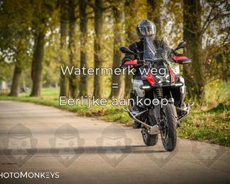 Herfstrit Moerzeke photo