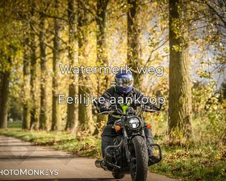 Herfstrit Moerzeke photo