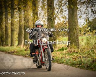 Herfstrit Moerzeke photo