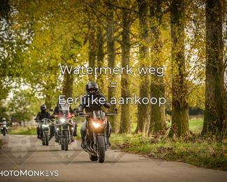 Herfstrit Moerzeke photo