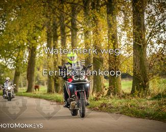 Herfstrit Moerzeke photo