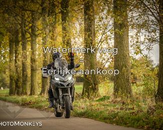 Herfstrit Moerzeke photo