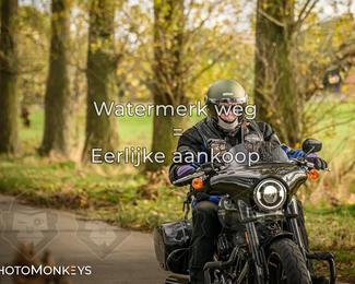 Herfstrit Moerzeke photo