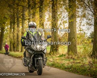 Herfstrit Moerzeke photo