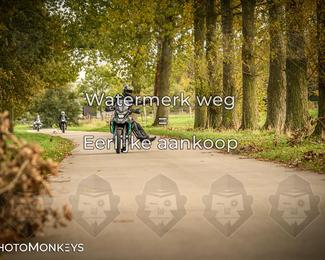 Herfstrit Moerzeke photo