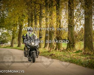 Herfstrit Moerzeke photo